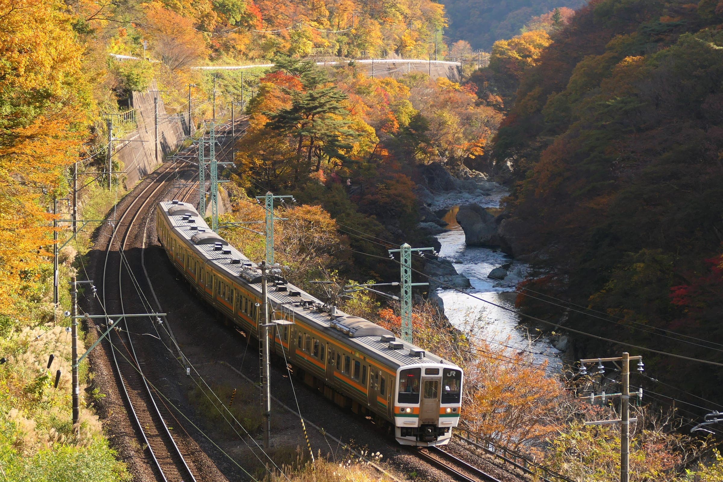 A Joetsu Line train rounds a curve above the Tone River gorge near Minakami in November colours
