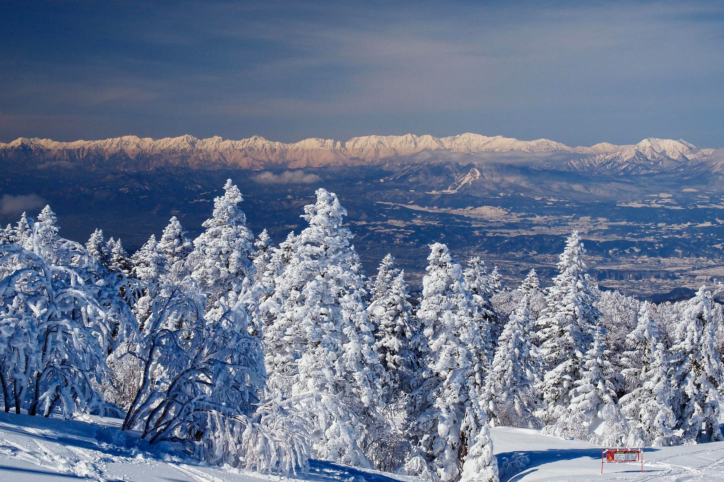 Snow-loaded firs at Shiga Kogen's Terakoya ski area face the Northern Alps across the Nagano basin