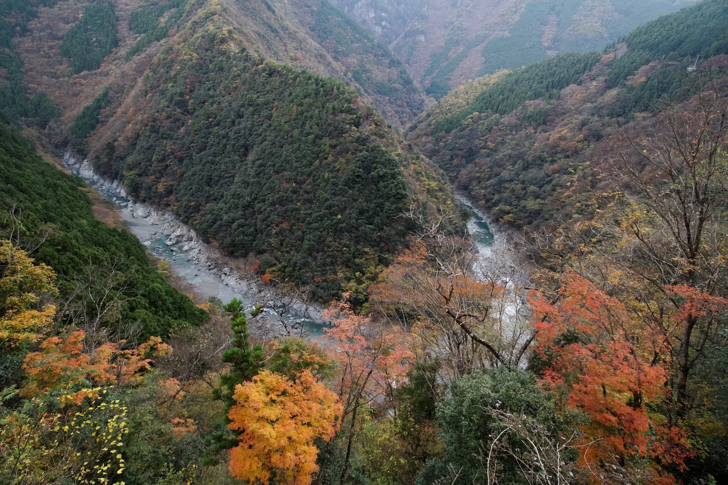 Autumn colour lines the steep slopes of the Iya Valley above its rocky river in western Tokushima