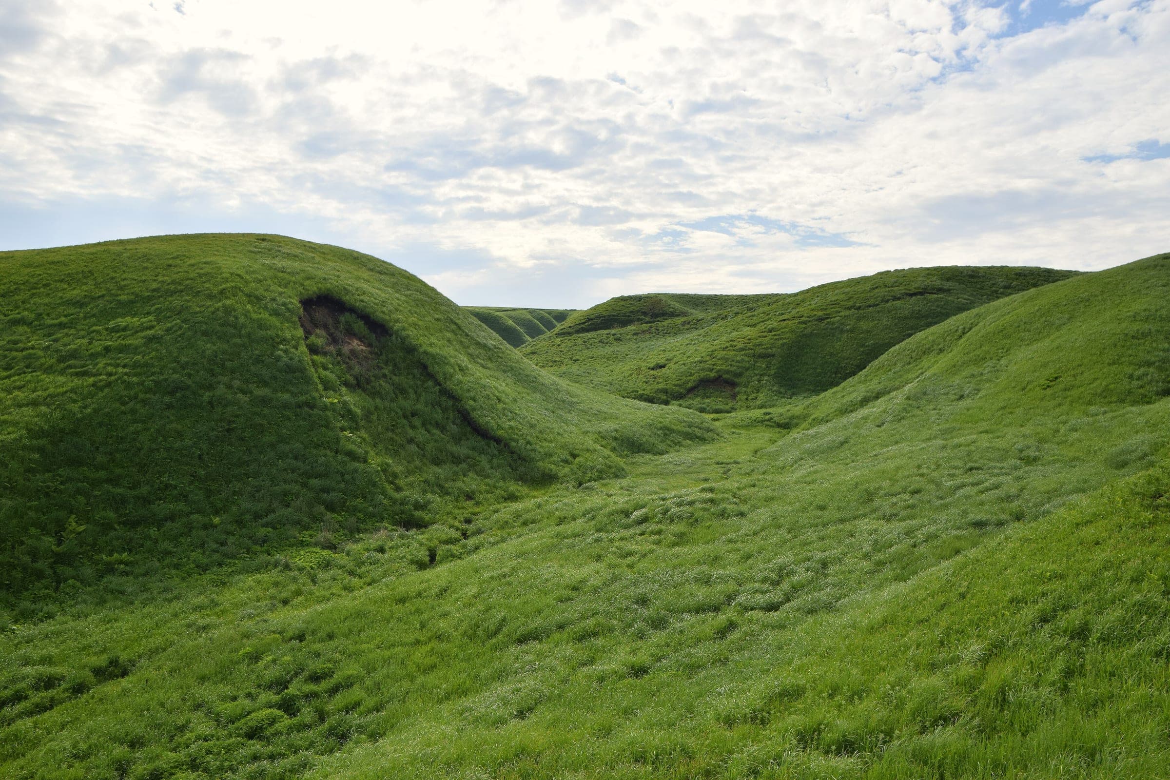 Grass-covered folds of the Aso outer rim roll away under a pale sky near the Milk Road.