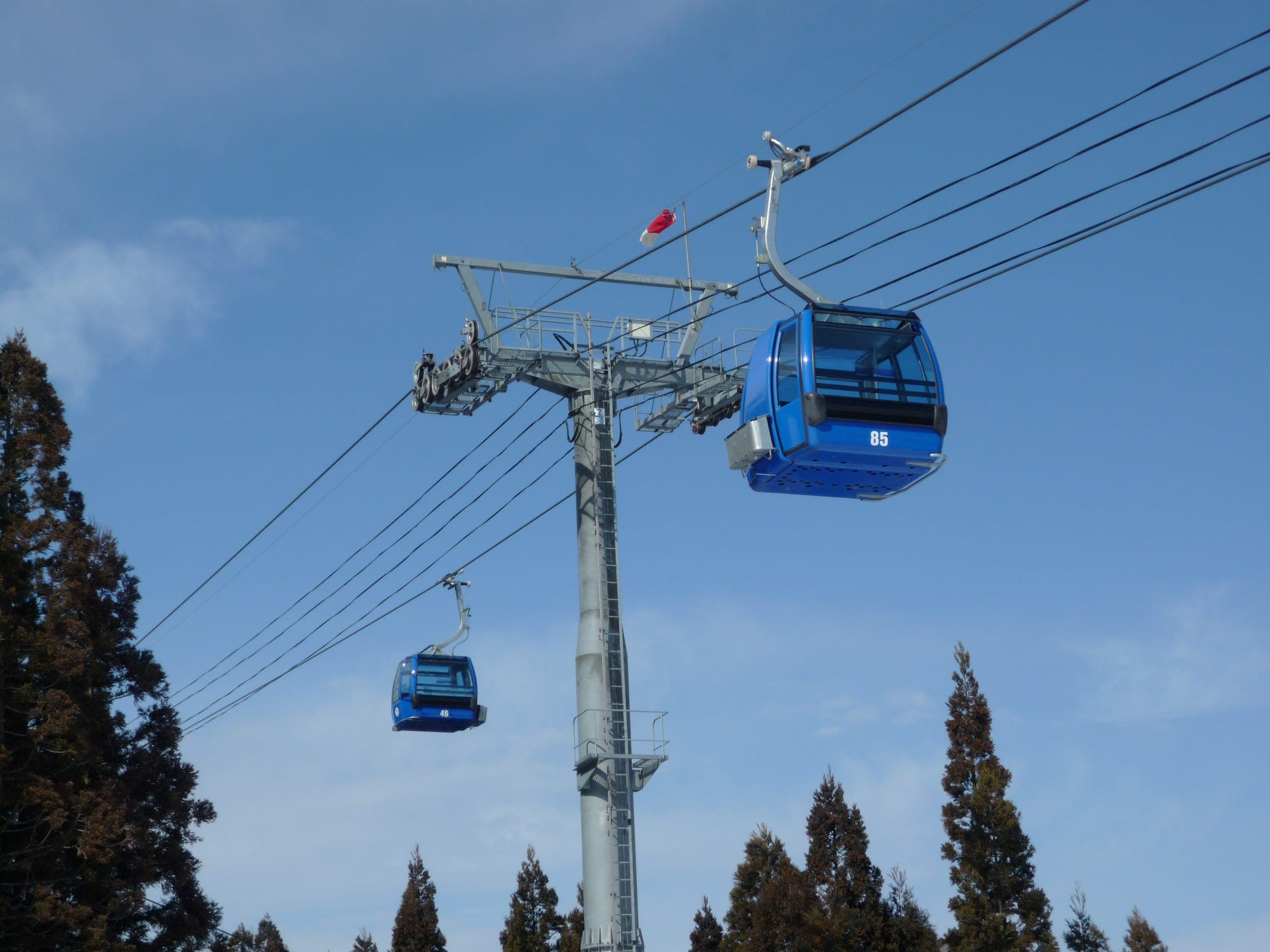 Two blue Dragondola cabins pass a lift tower between tall cedars at Naeba in February