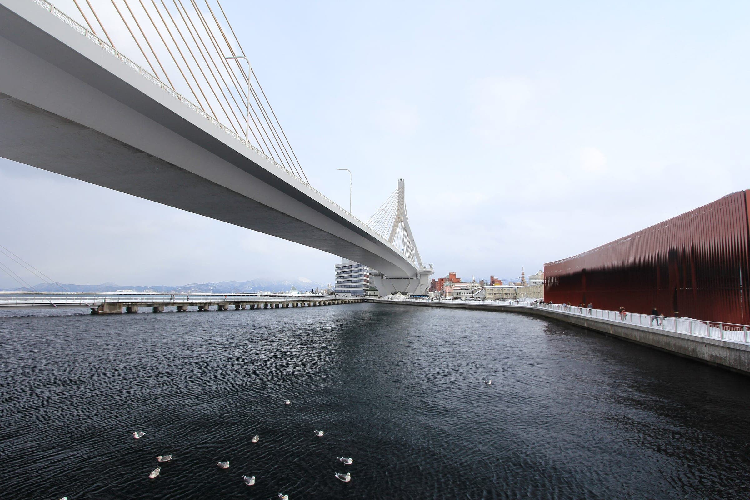 Gulls float in the harbour below Aomori Bay Bridge beside the red ribbed walls of Nebuta Museum Wa Rasse.